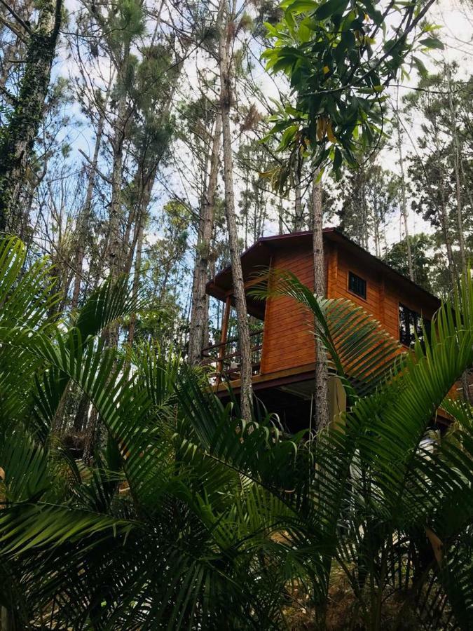 Casa De Arbol, Rancho Tierra Alta Ξενοδοχείο Jarabacoa Εξωτερικό φωτογραφία