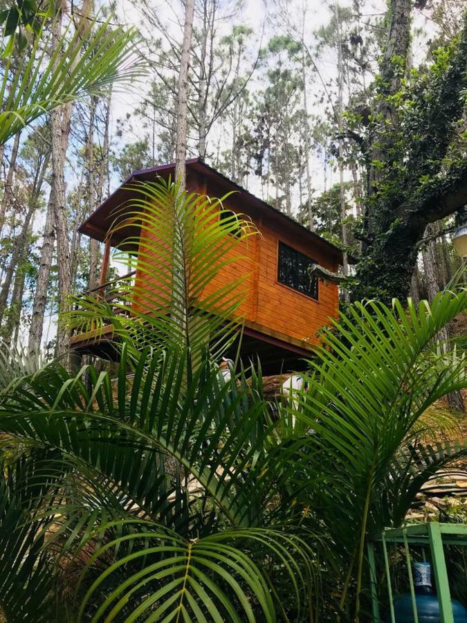 Casa De Arbol, Rancho Tierra Alta Ξενοδοχείο Jarabacoa Εξωτερικό φωτογραφία